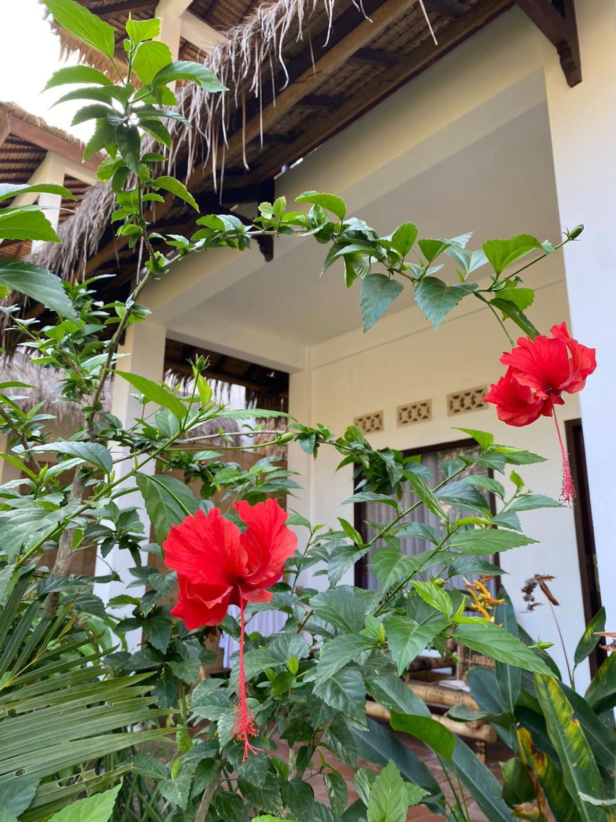 Cewin'S Homestay Kuta  Værelse billede